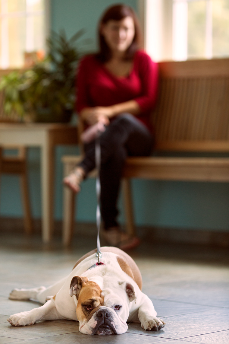 IDEXX - Saco Veterinary Clinic